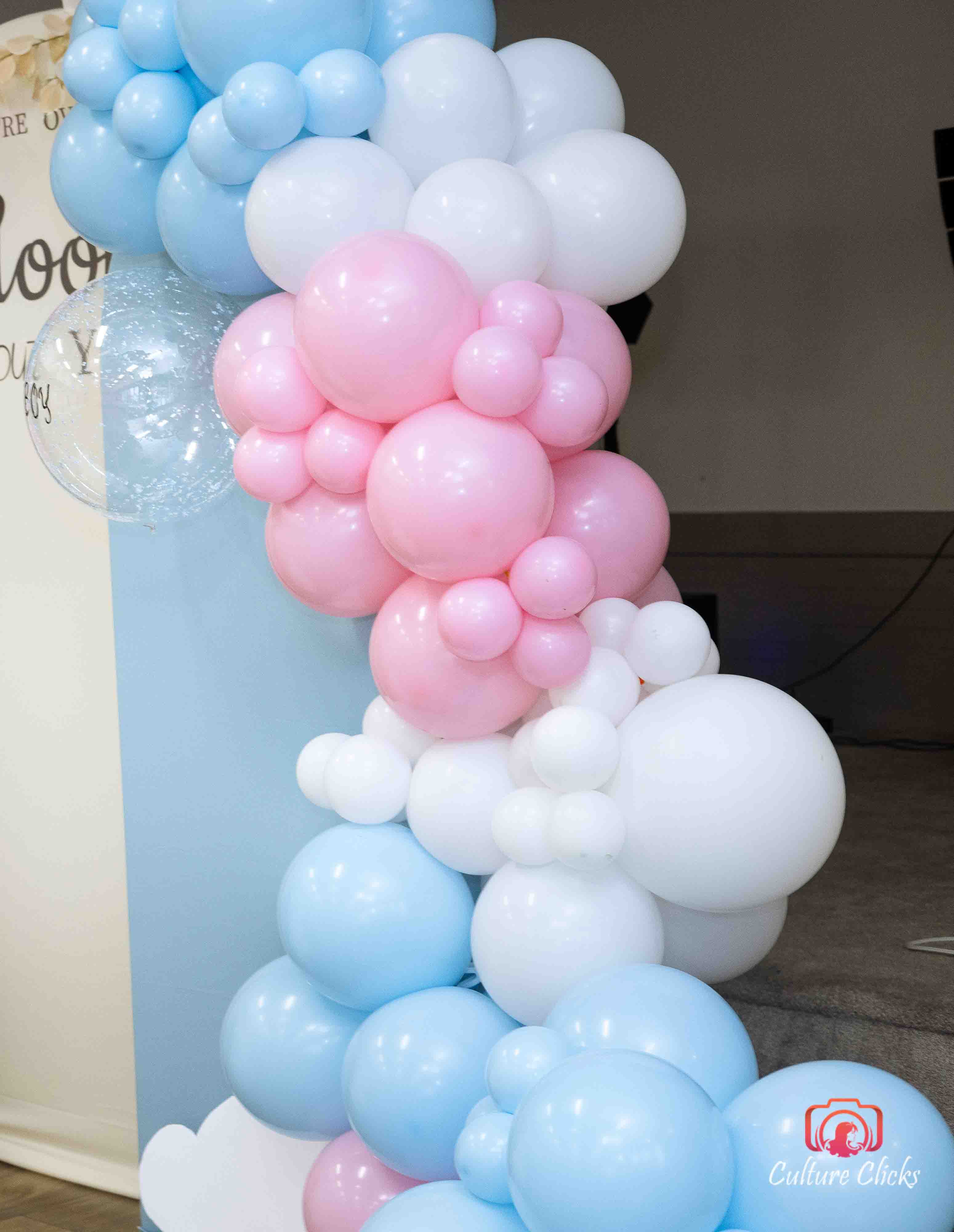 Balloon Arch